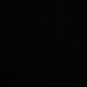 Meet your Posher, Ann